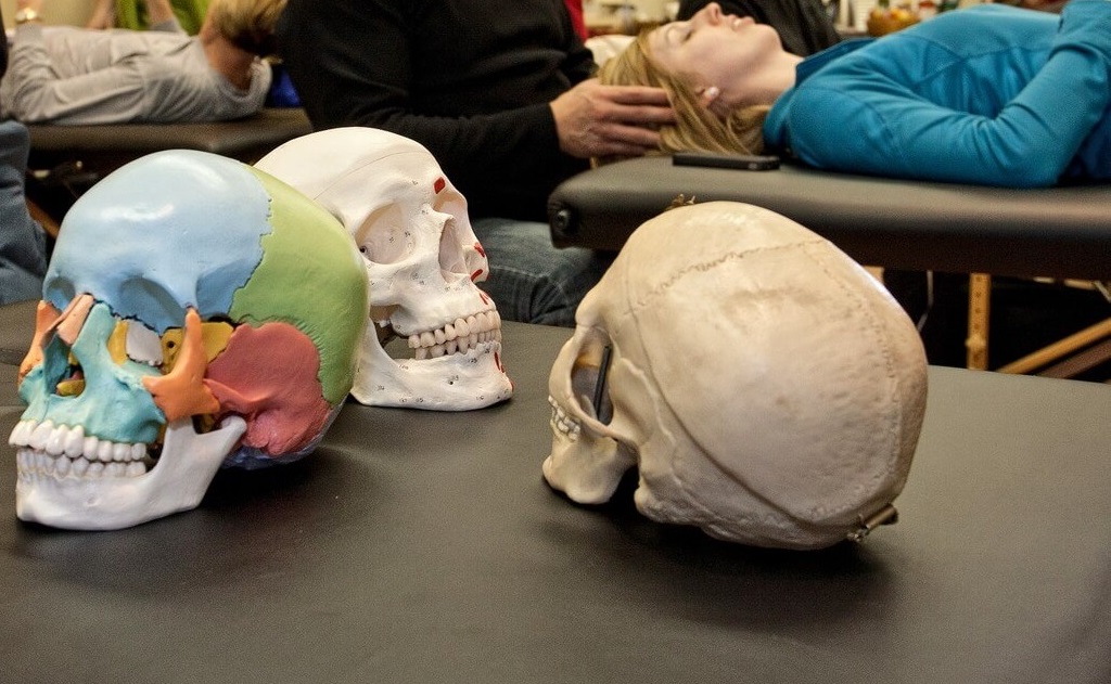 Southern Ontario College of Osteopathy